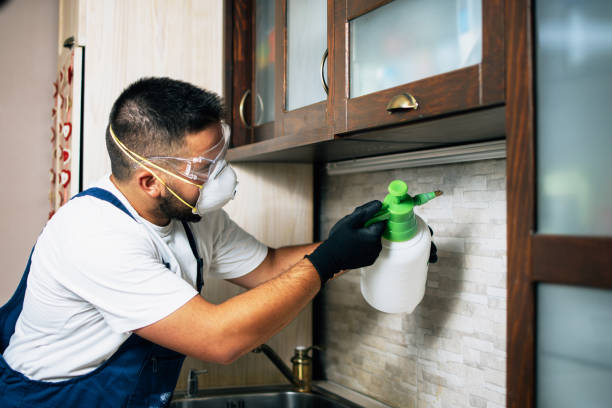 Best Commercial Pest Control Services  in Caldwell, TX