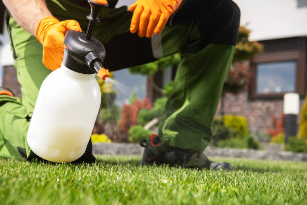 Best Affordable Pest Control Services  in Caldwell, TX