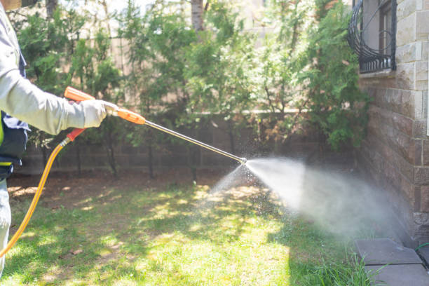 Best Mosquito Control Services  in Caldwell, TX