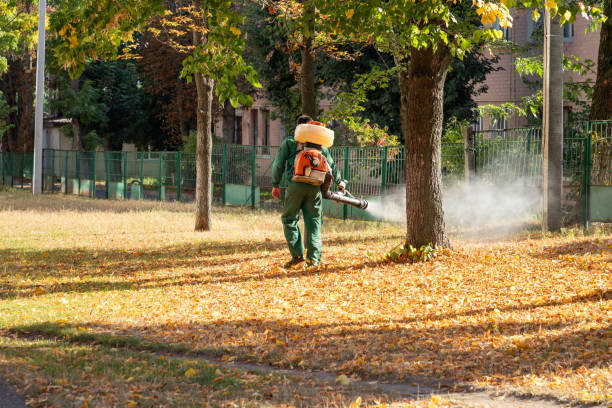 Best Rat Extermination Near Me  in Caldwell, TX