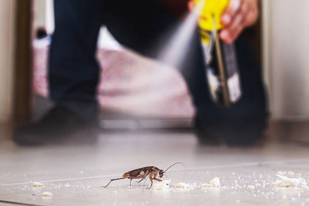 Pest Control for Restaurants in Caldwell, TX