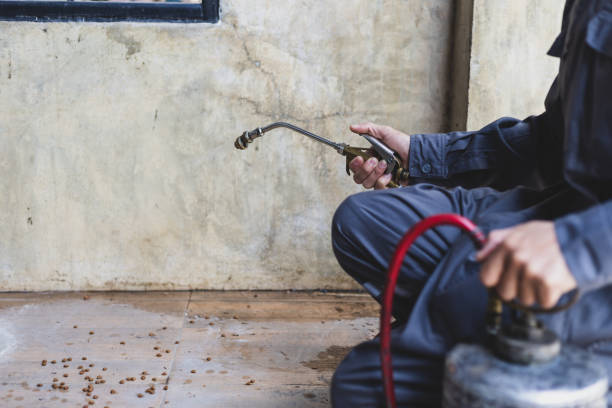 Best Affordable Pest Control Services  in Caldwell, TX