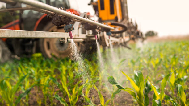 Professional Pest Control in Caldwell, TX